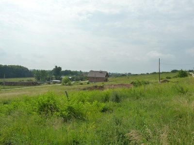 Eladó telekMályi, Ibolya utca