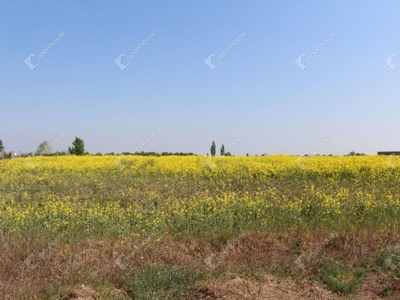 Eladó telek Székesfehérvár