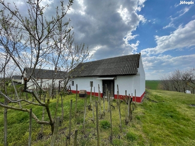 Panorámás telken, gyümölcsös borospincével eladó - Tárkány, Komárom-Esztergom - Szőlőskert-pince