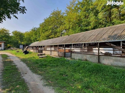 Albertirsa határában festői környezetben állattartásra alkalmas tanya