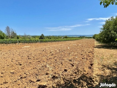 Balatonudvariban panorámás zártkert eladó!