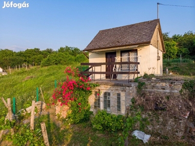 Szekszárd, Bor utca panorámás tanya