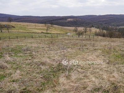 Eladó Mezőgazdasági, Komló - Komló, Komló, Baranya - Termőföld