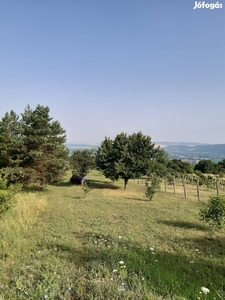 Eladó telek Esztergomban - Esztergom, Komárom-Esztergom - Telek, föld