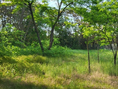 Eladó telek Kecskemét 731 m2 - Kecskemét, Bács-Kiskun - Telek, föld