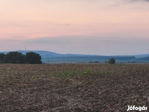 8 hektáros szántó eladó Nagycenken