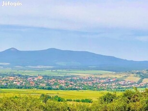 Eladó gyöngyösi gyümölcsös,szőlő