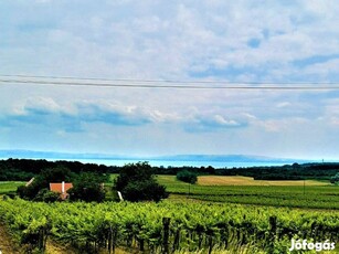 Panorámás balatoni nyaraló eladó