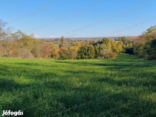 Panorámás ingatlan Nyúlon eladó. Általános mezőgazdasági terület!