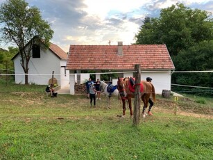 Kiadó családi ház, albérlet Pécs, Belváros, Bükkösd