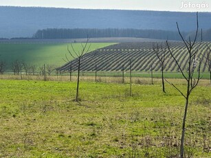 Panoráma, nyugalom