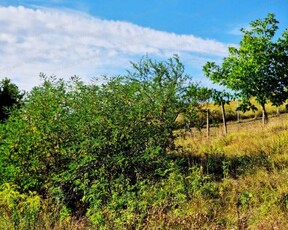 Eladó telek Eger