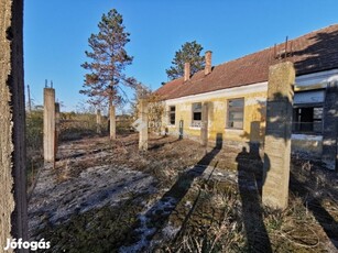 Eladó 300 nm-es ház Bócsa