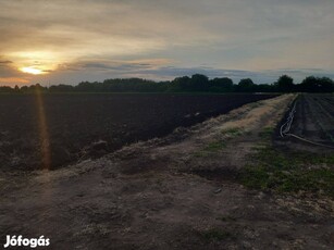 Debrecentől 20 km-re, mezőgazdasági terület eladó!