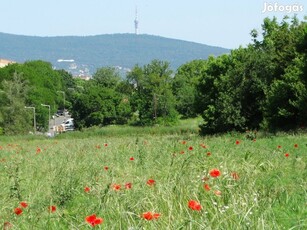 Eladó Pécs- Rózsadomb 2570 nm-es építési telek