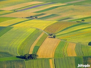 ELADÓ PILISEN 14692 m2 SZÁNTÓ!