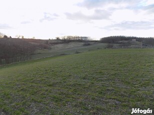 Győrtől 20 km-re, 7500 m2 domboldali telek eladó