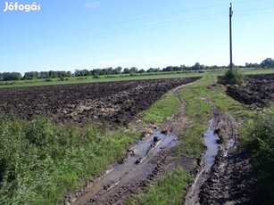 Kiszomboron 13514 m2 mezőgazdasági terület eladó