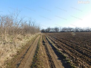 Külterületi szántó eladó Balatonendréden