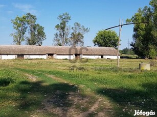 Nagytarcsai eladó telek