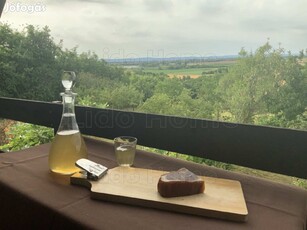 PANORÁMÁS HÉTVÉGI HÁZ SIÓFOK-KILITIBEN-ben!