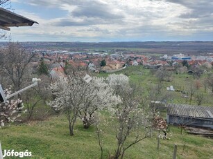 Pécs-Patacson hétvégi ház eladó