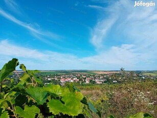 Tabon jó állapotú pince gondozott zártkertben eladó