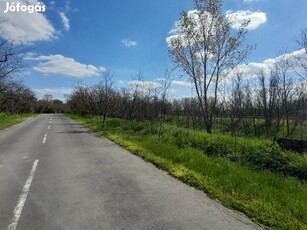 Vértesszőlős külterületén eladó telek