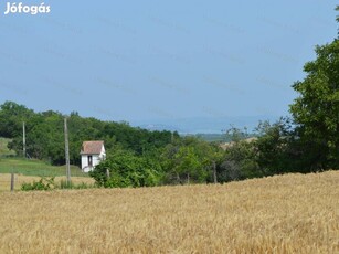 Zártkert Balatonendréden!