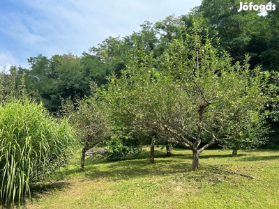 Eladó ház erdővel