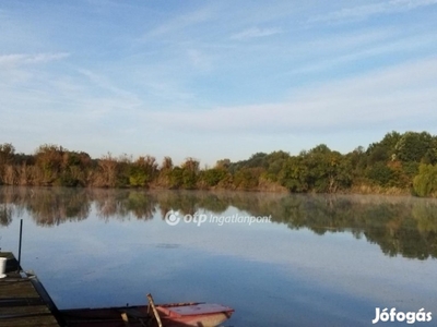 Eladó Telek, Csongrád