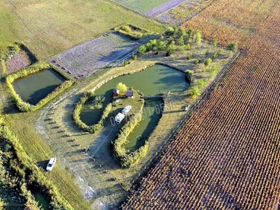 Kiskunmajsa, ingatlan, mezőgazd. ingatlan, 5500 m2, 14.500.000 Ft