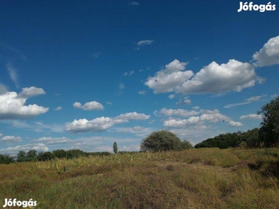 Rákoshegy 953m2 Eladó Szántó 1/1 Erdőkürt Erdő Utca