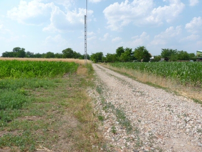 Taksony, ingatlan, mezőgazd. ingatlan, 5.500.000 Ft