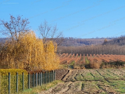 Tényő, ingatlan, telek, 8.000.000 Ft