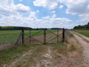 Eladó mezogazdasagi ingatlan Albertirsa