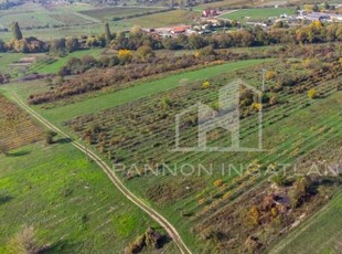 Eladó mezogazdasagi ingatlan Lovas