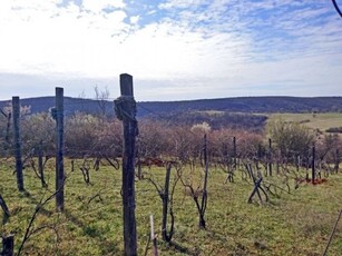 Eladó telek Balatonalmádi