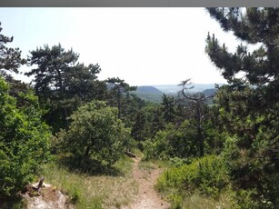 Eladó telek Budakeszi