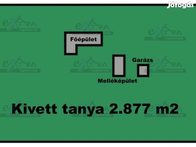 Domaszéken, közel a Zöldfás Templomhoz, Tanya, épületekkel Eladó!