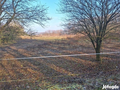 Eladó Építési telek Hajdúszoboszló Ádám utca