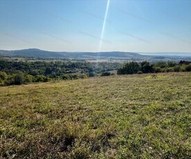 Eladó mezőgazdasági ingatlan - Balatoncsicsó