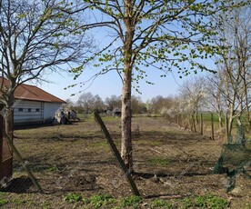 Eladó mezőgazdasági ingatlan - Békéscsaba