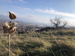 Eladó telek Dorog