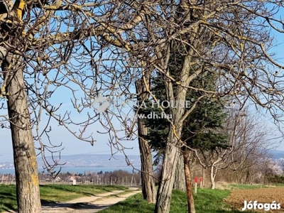 Balatonberényben zártkert eladó, csodás panorámával.