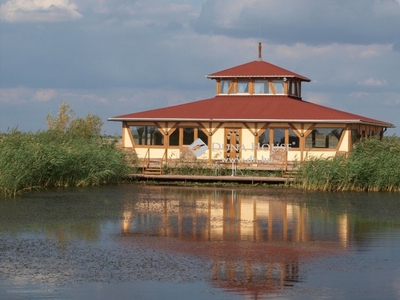 Derekegyház, ingatlan, telek, 200.000.000 Ft