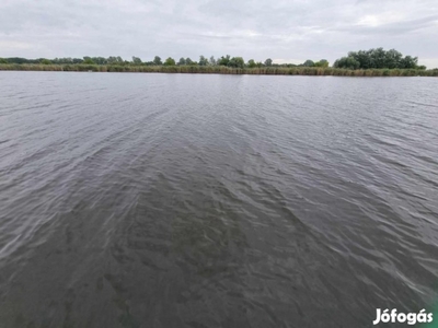 Holt-Tisza parti horgásztelek eladó - Nagyrév