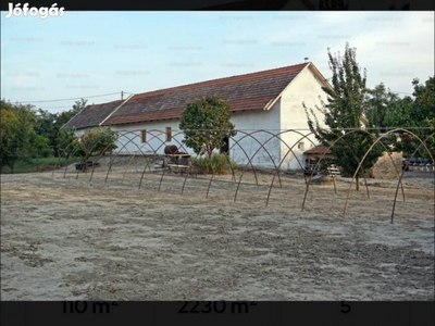 Kertes családi ház eladó