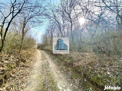 Panorámás, zártkerti terület eladó, Balatonendréden!