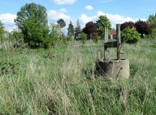 Eladó telekTiszaszőlős